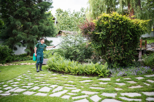 Best Aeration Services  in Llano, TX